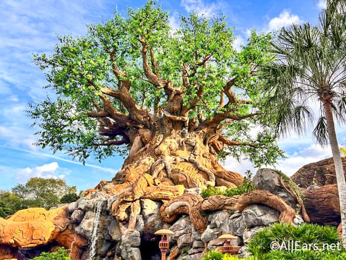Don't Let These 25 Disney World Closures Catch You Off Guard