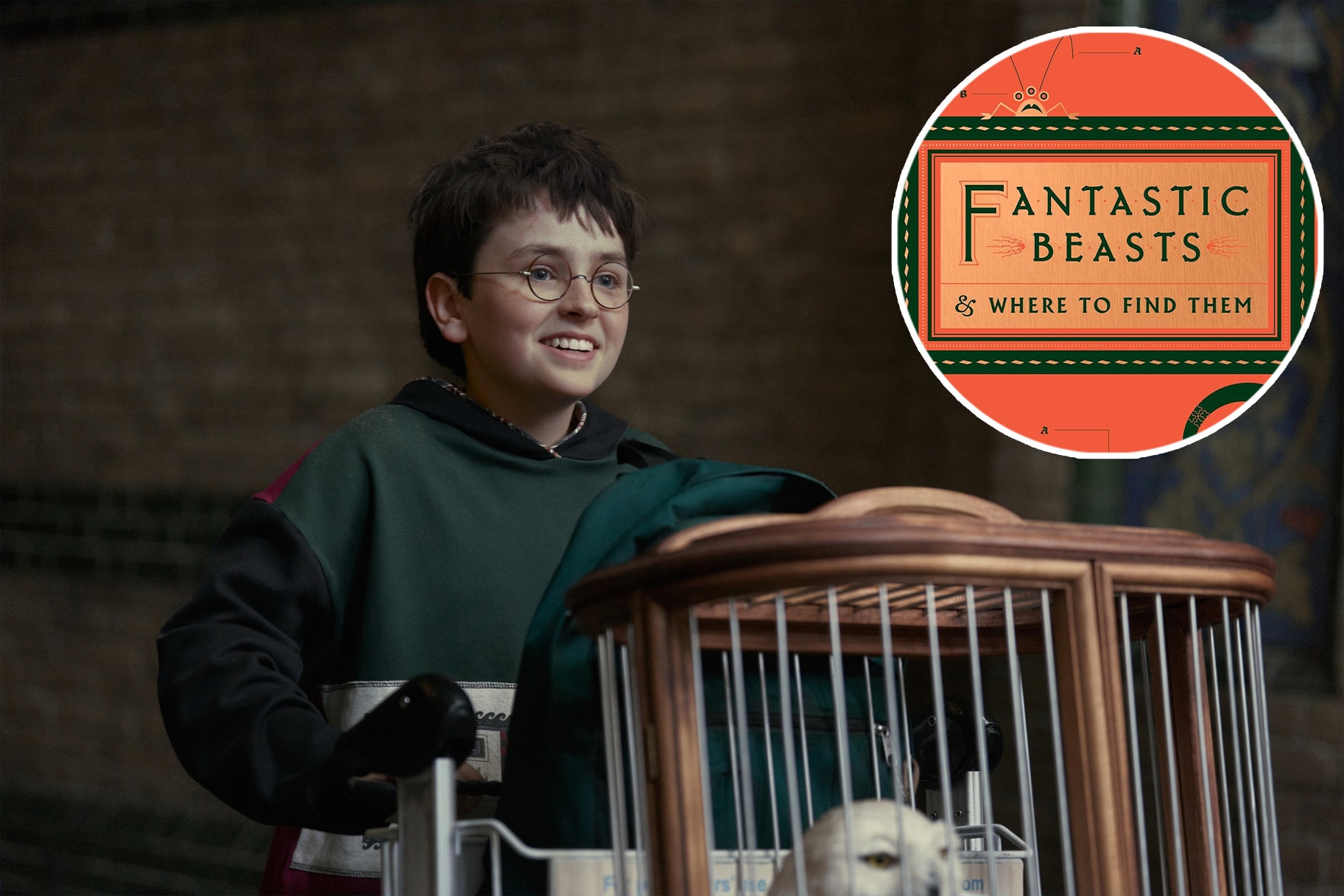 Promotional artwork for the HBO Harry Potter series